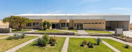 YECAPIXTLA PLANT